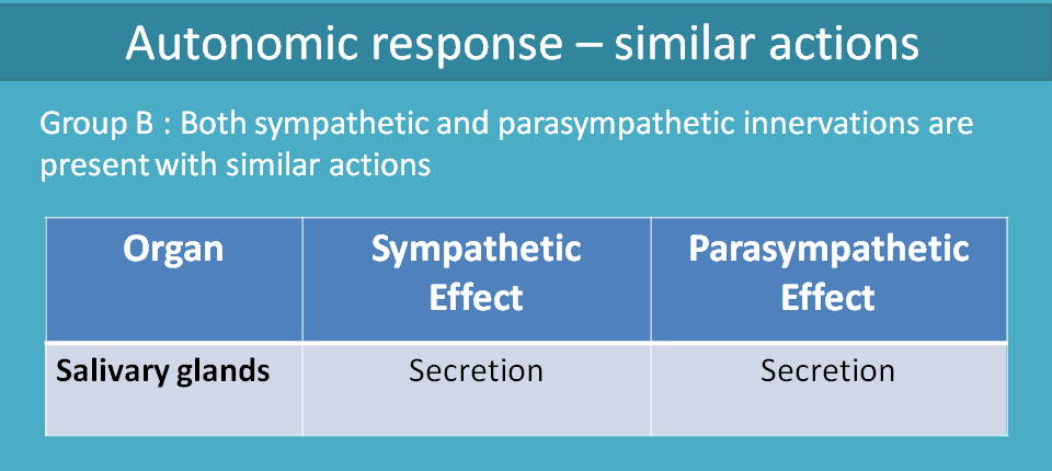 similar action of ANS divisions